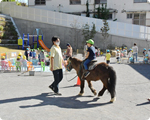 ふれあい動物園